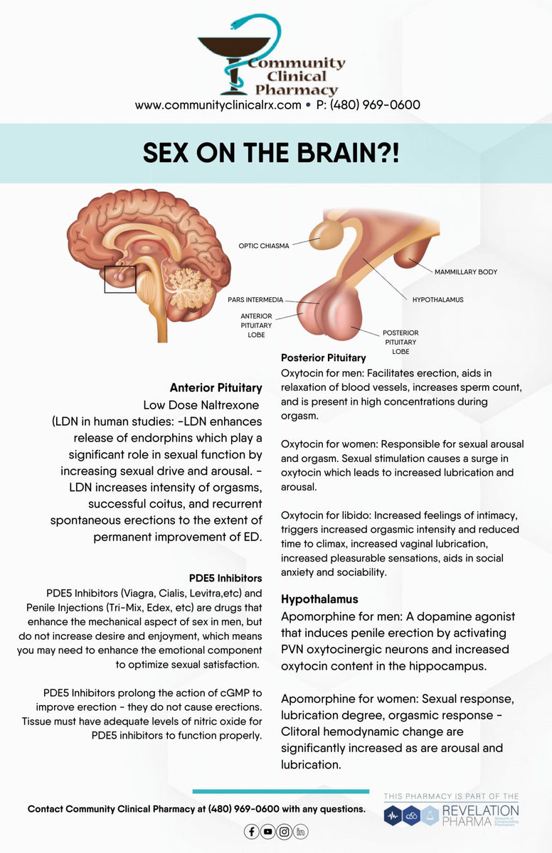 Sex On The Brain Handout Community Clinical Revelation Marketing 5244