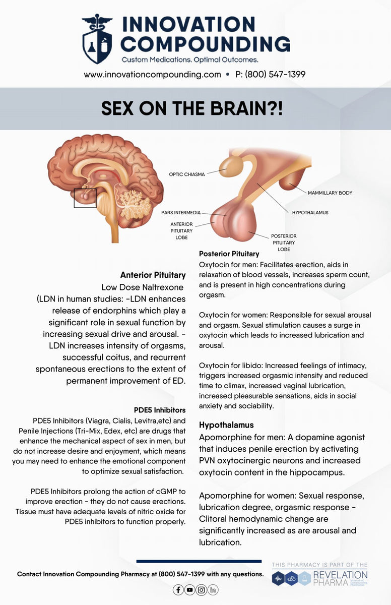 Sex On The Brain Handout Innovation Revelation Marketing