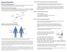 Load image into Gallery viewer, Patient Information Leaflet (PIL) - How to Give an Intramuscular Injection (All Pharmacies)