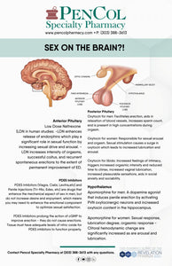 Sex on the Brain Handout (Pencol)