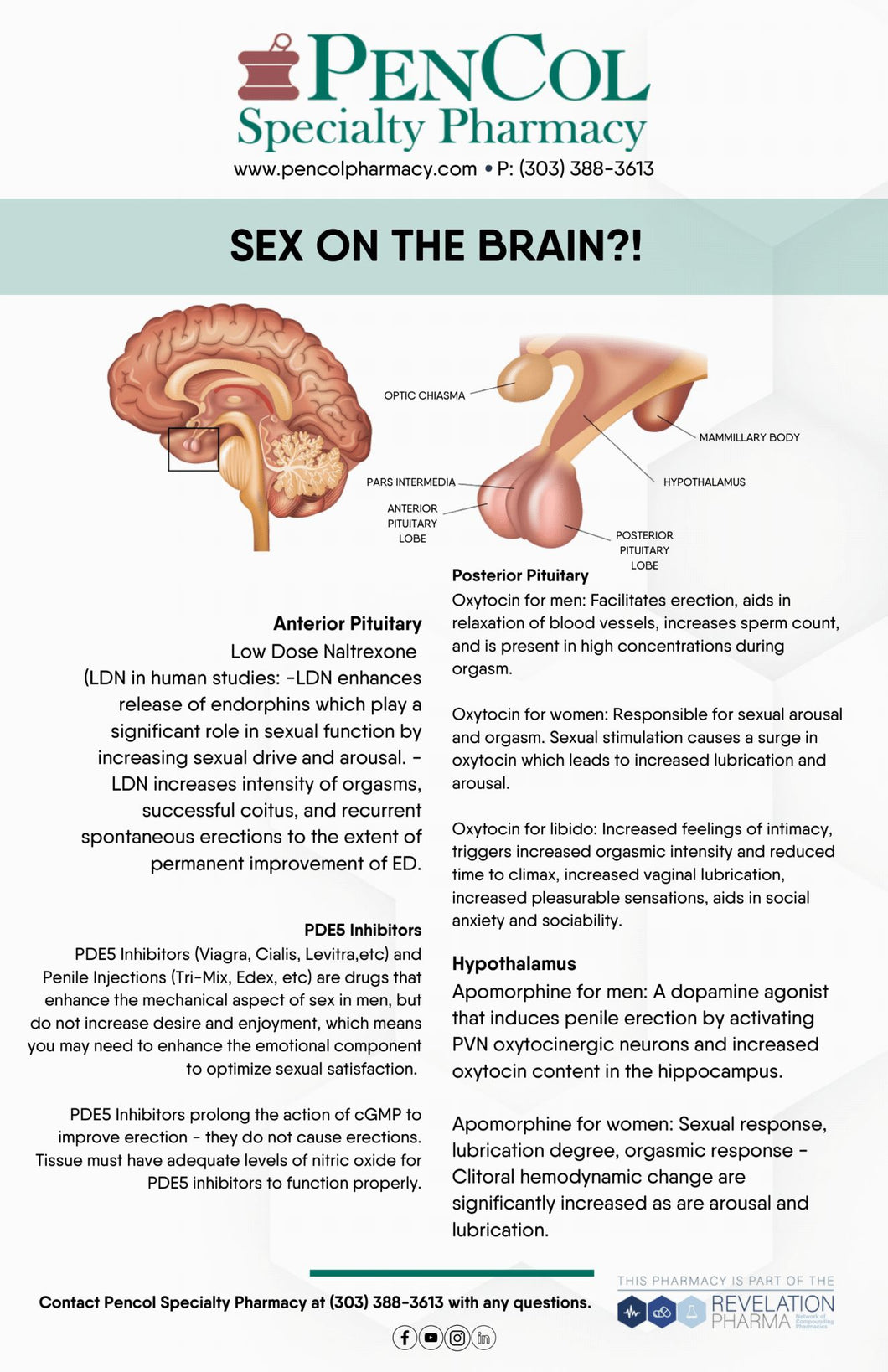 Sex on the Brain Handout (Pencol)