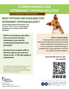 Flyer - Veterinary Ophthalmology Info Sheet (Taylor's)