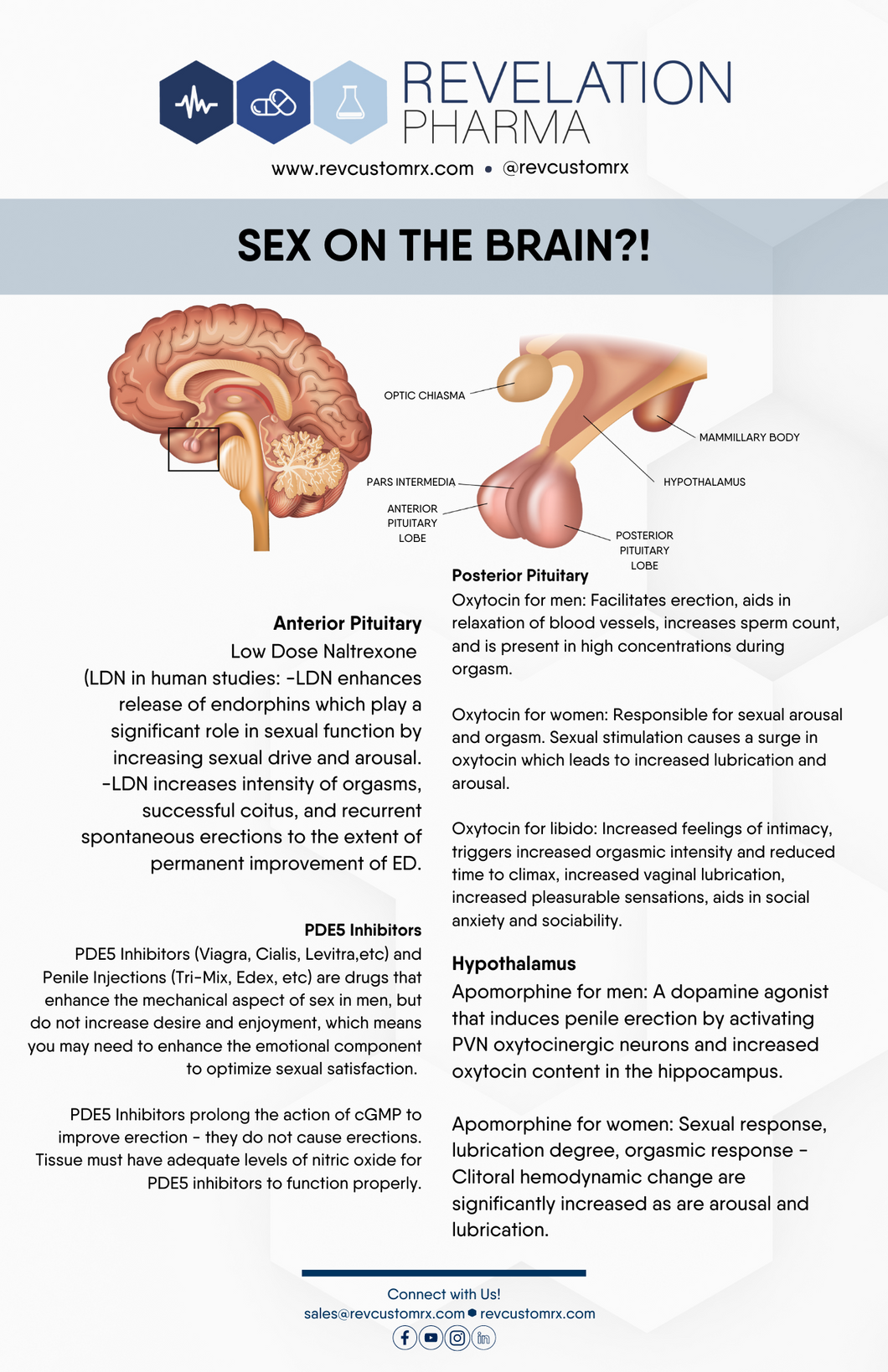 Sex on the Brain Handout - Revelation