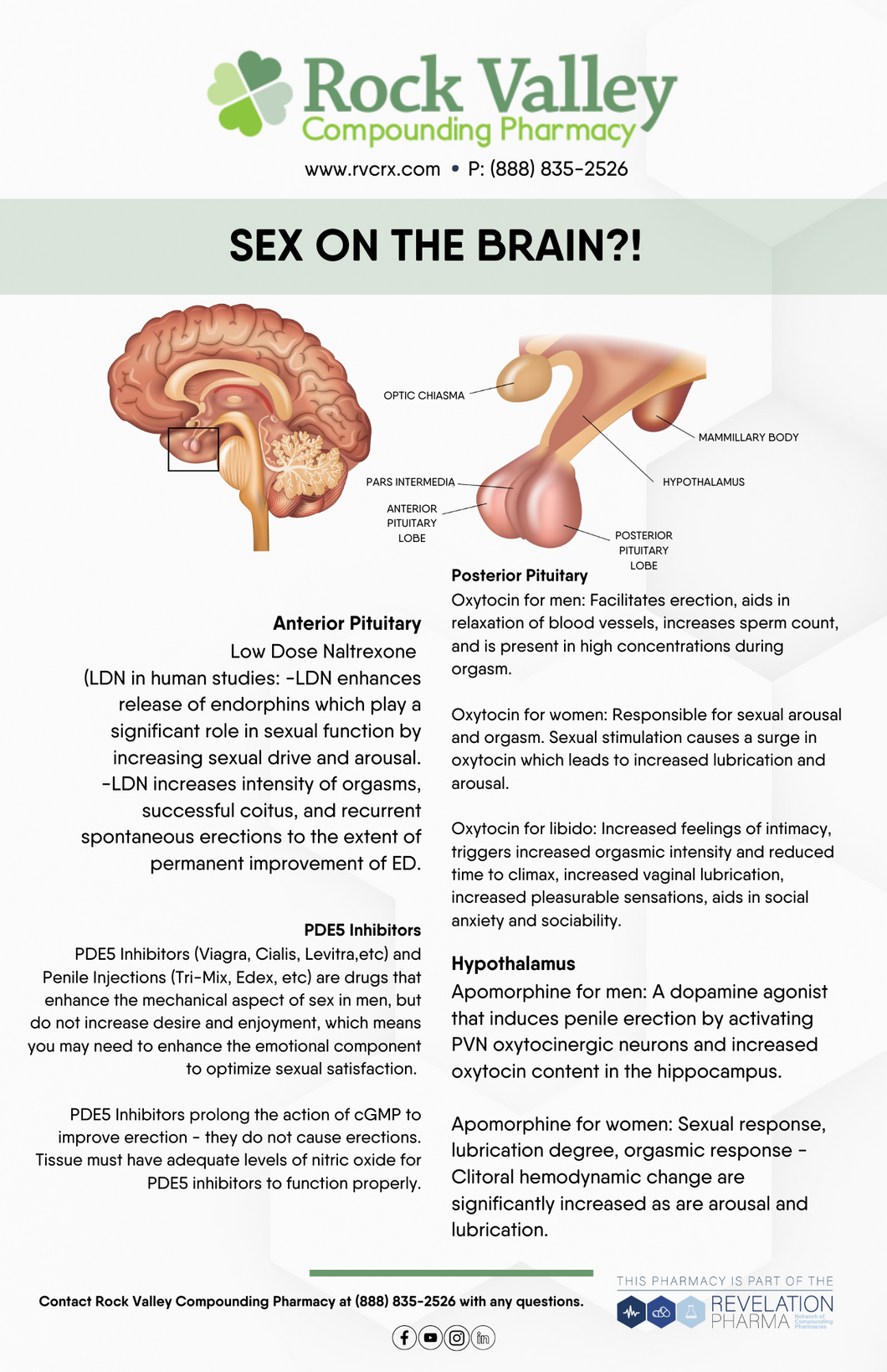 Sex on the Brain Handout (Rock Valley) – Revelation Marketing